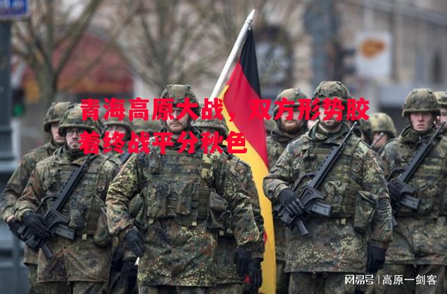 青海高原大战,双方形势胶着终战平分秋色 青海高原大战,双方形势胶着终战平分秋色