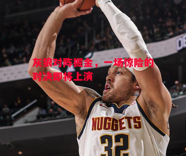 灰狼对阵掘金,一场惊险的对决即将上演 灰狼对阵掘金,一场惊险的对决即将上演