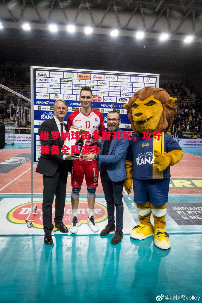 维罗纳球员多面开花,攻守兼备全队实力 维罗纳球员多面开花,攻守兼备全队实力