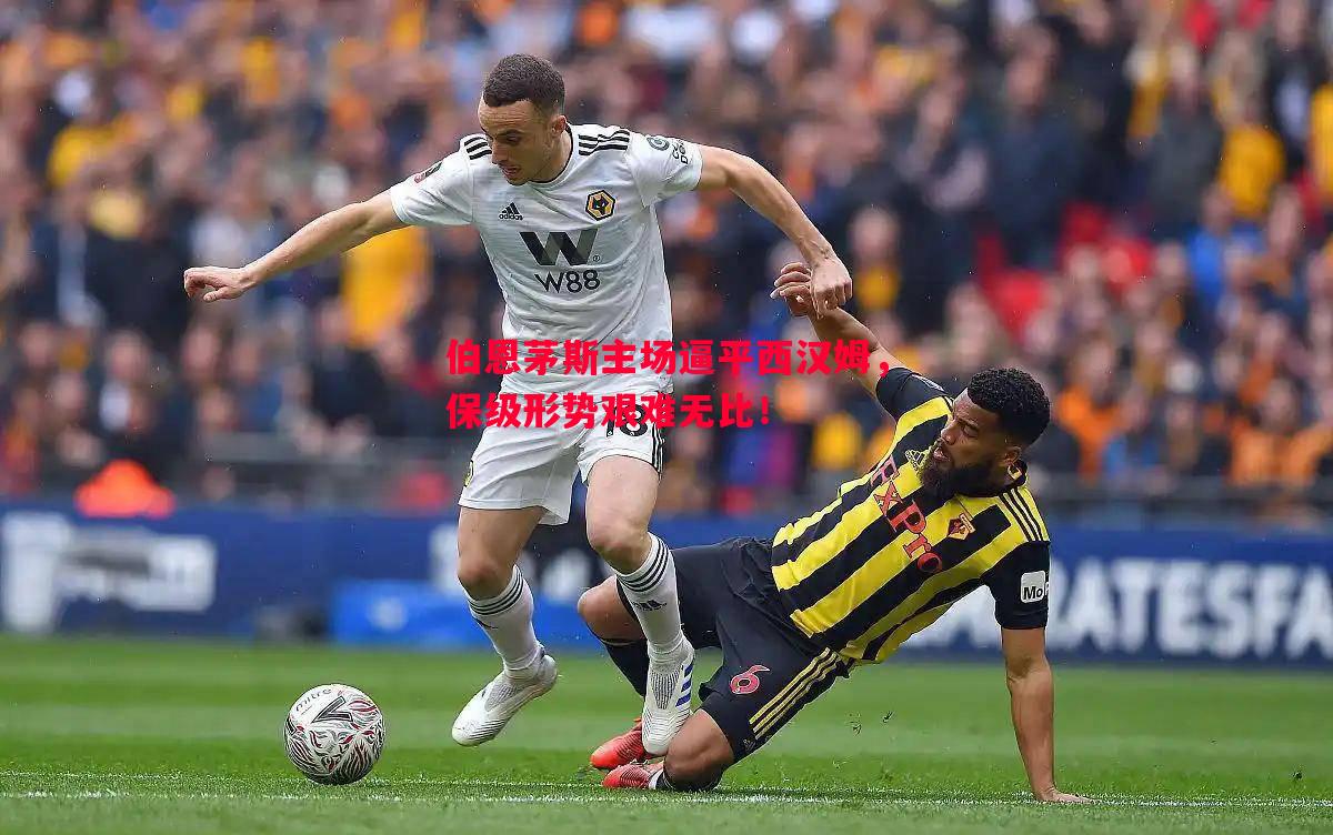 伯恩茅斯主场逼平西汉姆,保级形势艰难无比! 伯恩茅斯主场逼平西汉姆,保级形势艰难无比!
