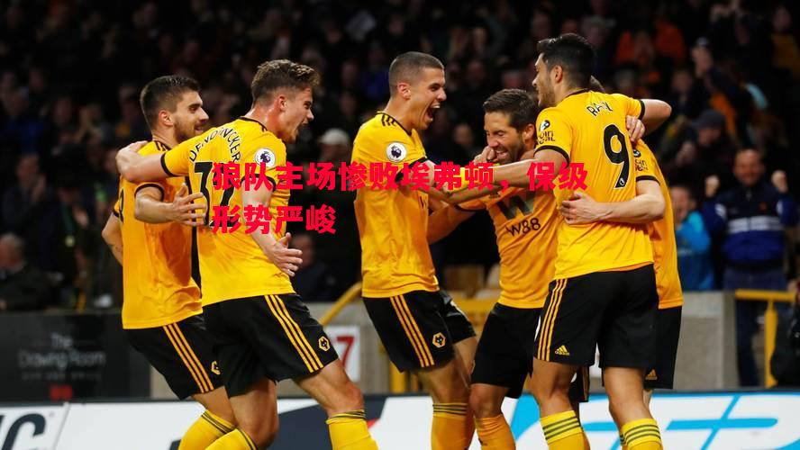 狼队主场惨败埃弗顿,保级形势严峻 狼队主场惨败埃弗顿,保级形势严峻