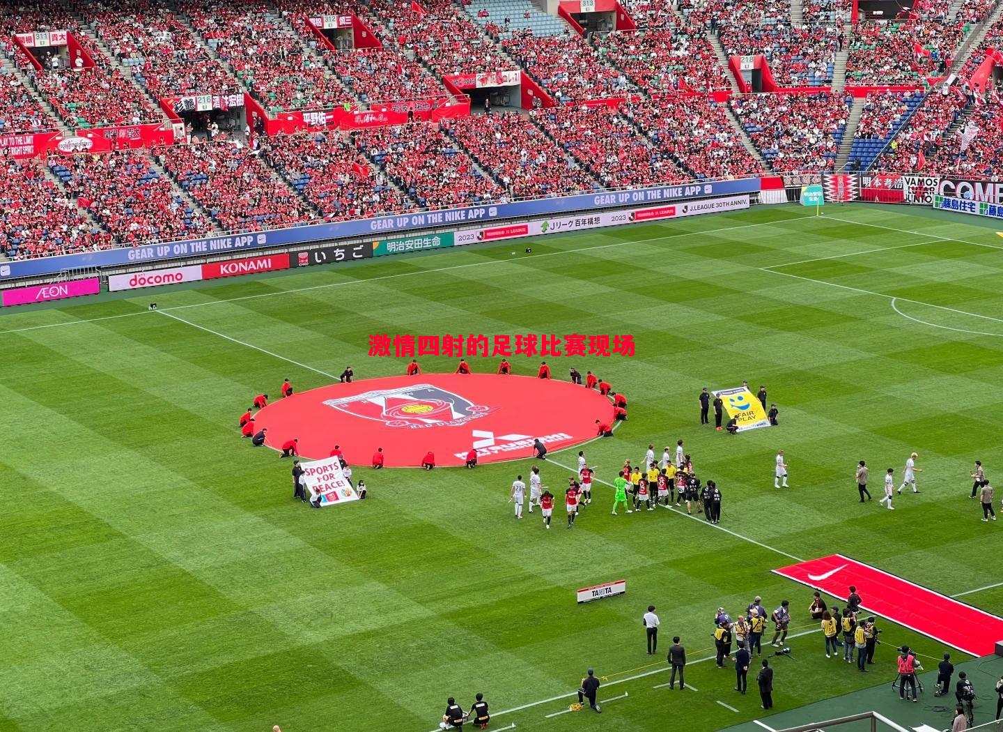 激情四射的足球比赛现场 激情四射的足球比赛现场