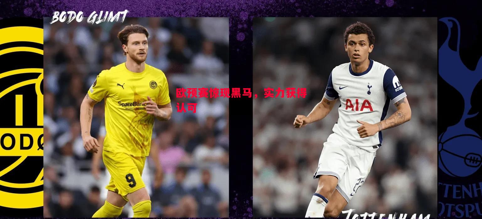 欧预赛惊现黑马,实力获得认可 欧预赛惊现黑马,实力获得认可